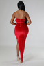 Celebrity Status Dress