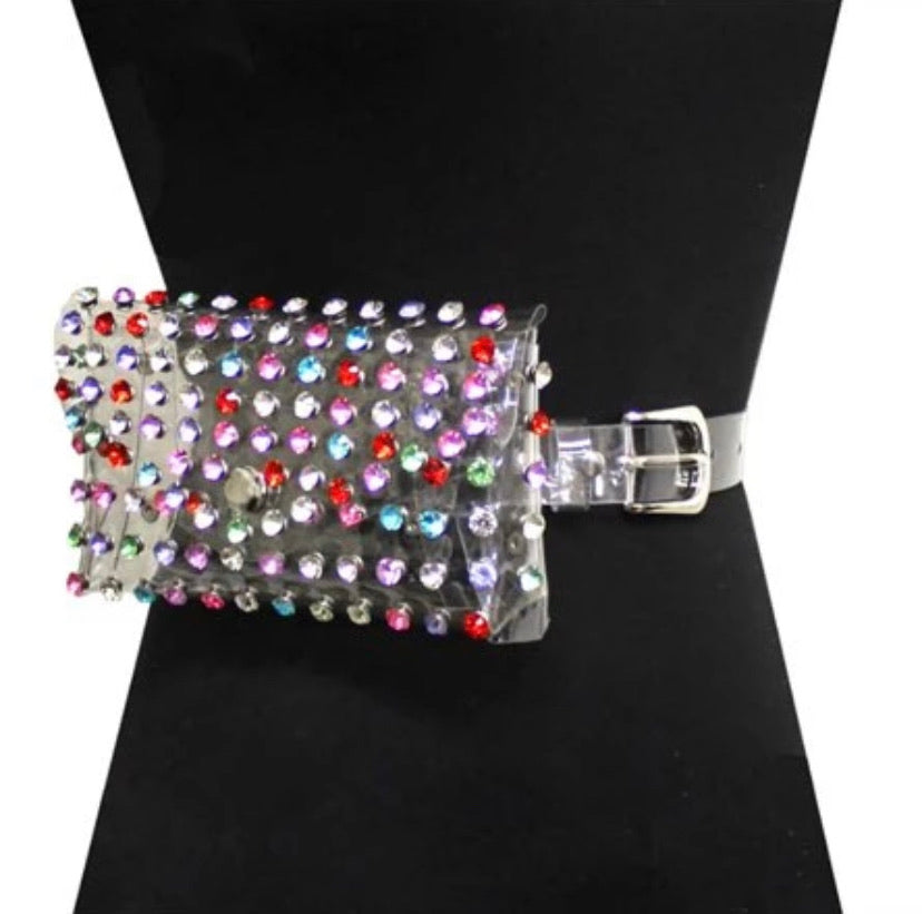 Crystal Clear Fannie Pack