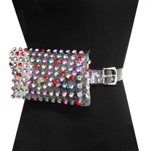 Crystal Clear Fannie Pack