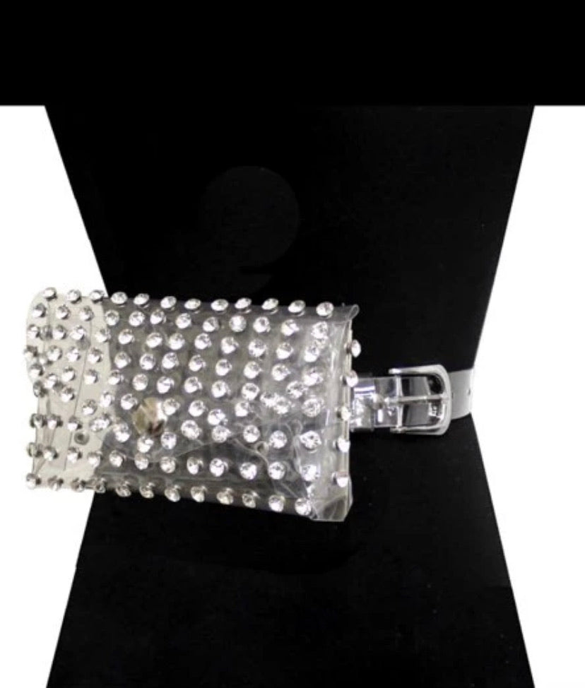 Crystal Clear Fannie Pack