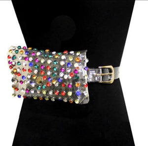 Crystal Clear Fannie Pack
