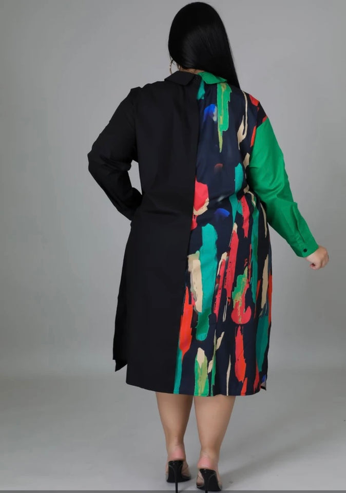 Color  Me Badd Dress!!!! (Plus)